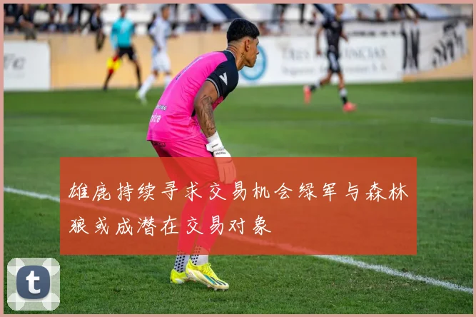 雄鹿持续寻求交易机会绿军与森林狼或成潜在交易对象